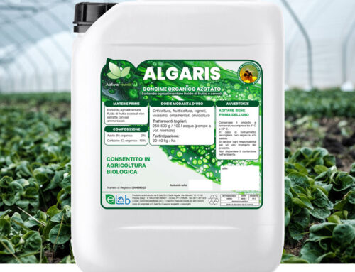 Algaris