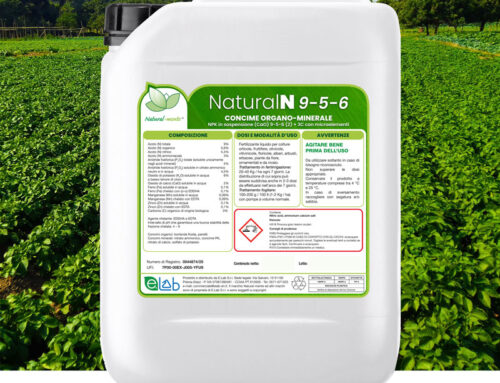 Natural N 9-5-6