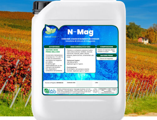 N-Mag