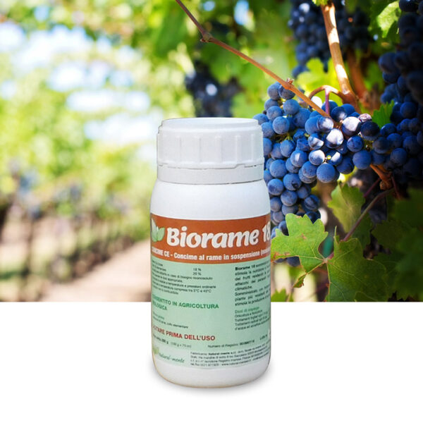 Biorame 18